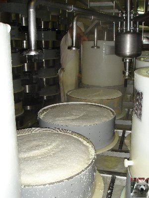 La fruitière à Comté de Grande Rivière [39) 0030