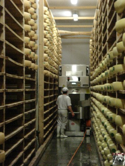 La fruitière à Comté de Grande Rivière [39) 0041