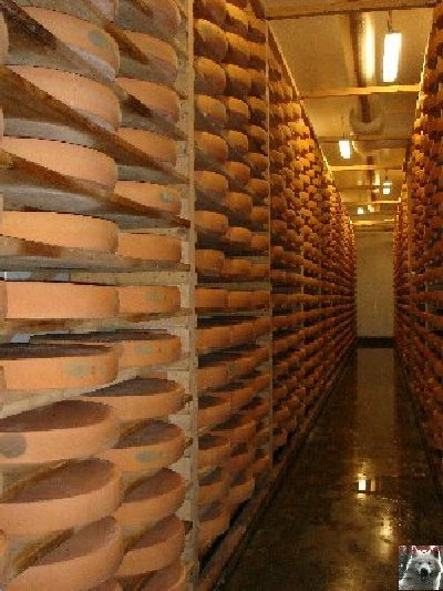 La fruitière à Comté de Grande Rivière [39) 0044