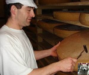 La fruitière à Comté de Grande Rivière [39) Simon