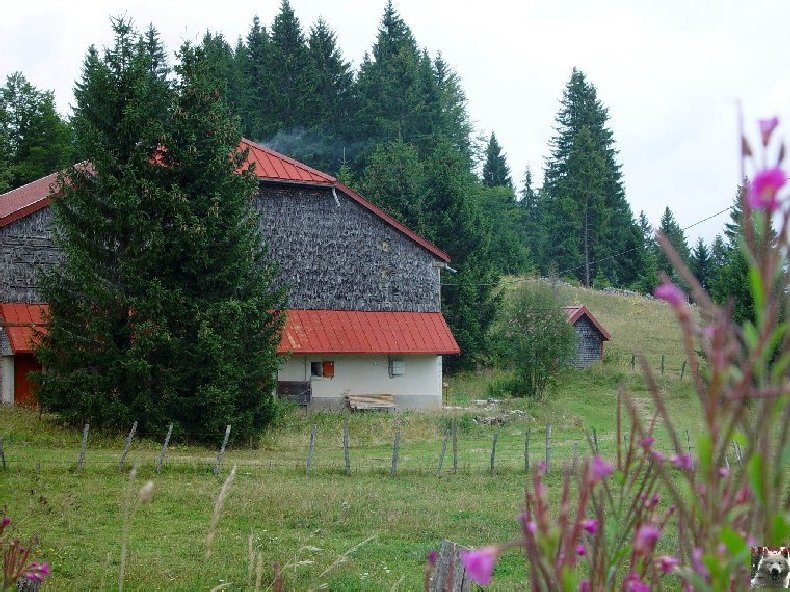 Les Greniers Forts 0027