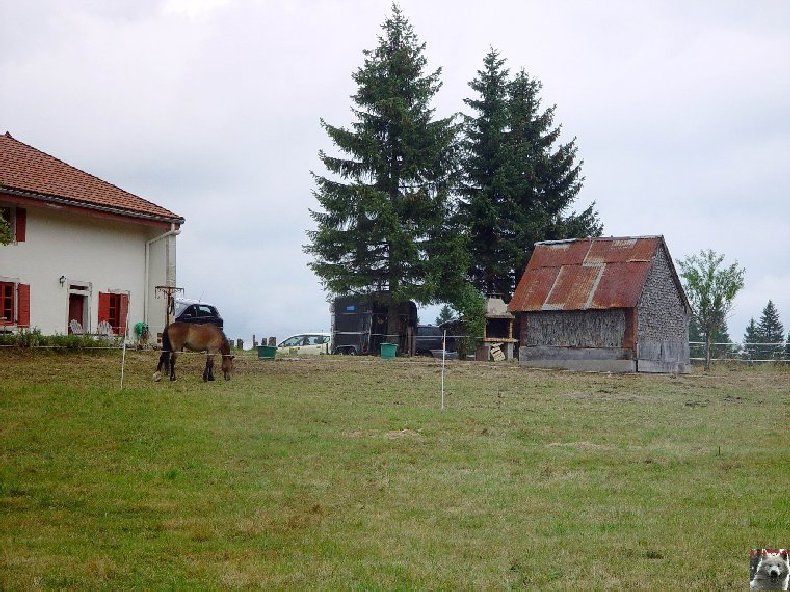 Les Greniers Forts 0028