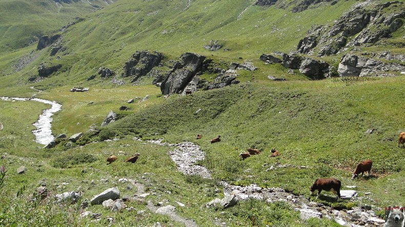 Entre Maurienne et Tarentaise - Le col de l'Iseran - 17/08/2010 0010