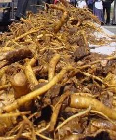 La Gentiane - Fleurs, Racines et Distillation - (25) 0029