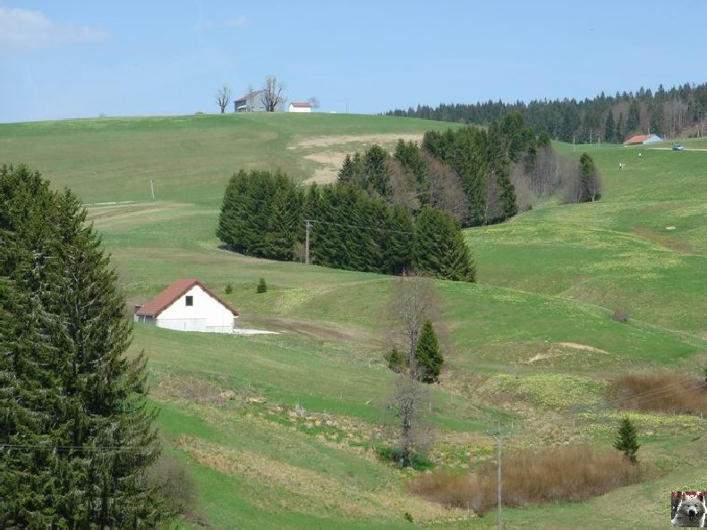 Le Pays de l'Or Jaune - La Pesse (39) 0004