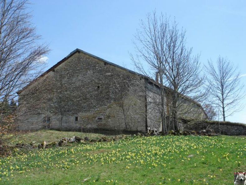 Le Pays de l'Or Jaune - La Pesse (39) 0024
