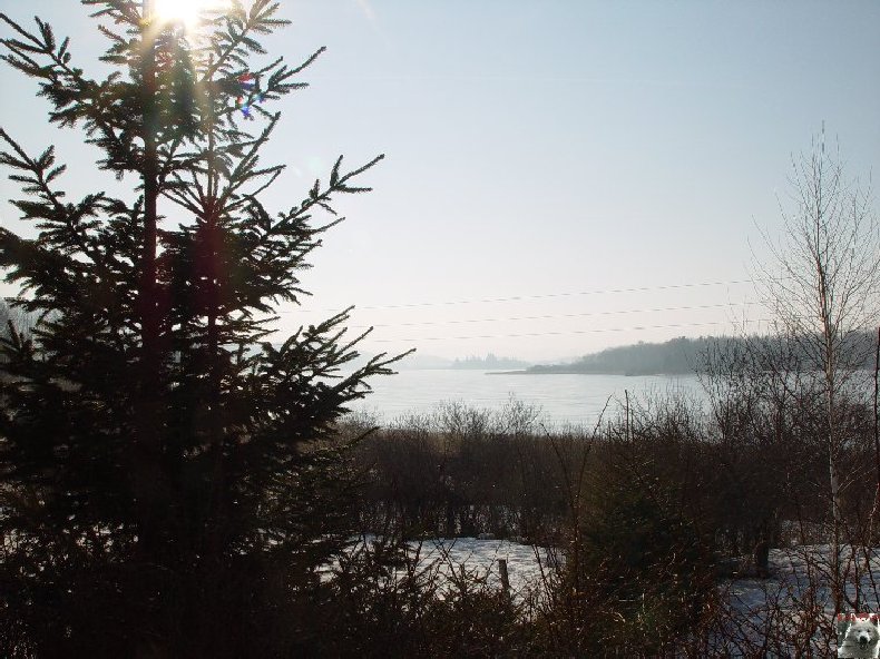 Le Lac de l'Abbaye en Grandvaux (39) 0003