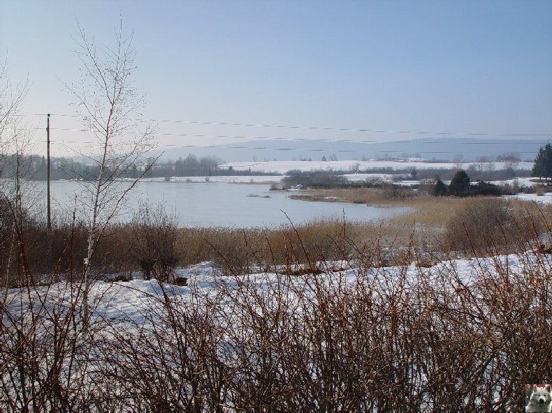 Le Lac de l'Abbaye en Grandvaux (39) 0004