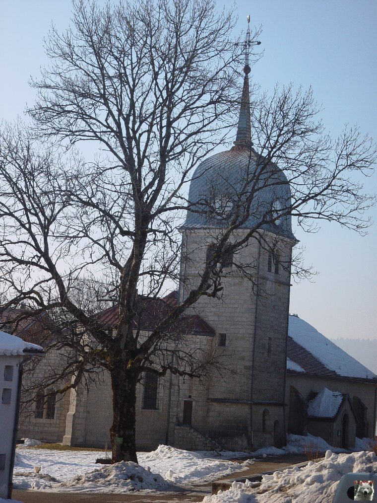 Le Lac de l'Abbaye en Grandvaux (39) 0006