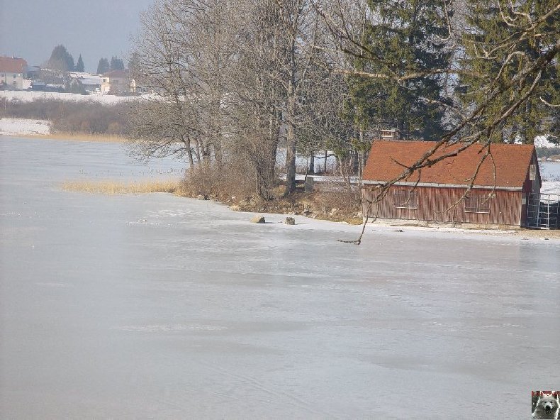 Le Lac de l'Abbaye en Grandvaux (39) 0007