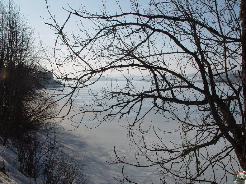Le Lac de l'Abbaye en Grandvaux (39) 0008