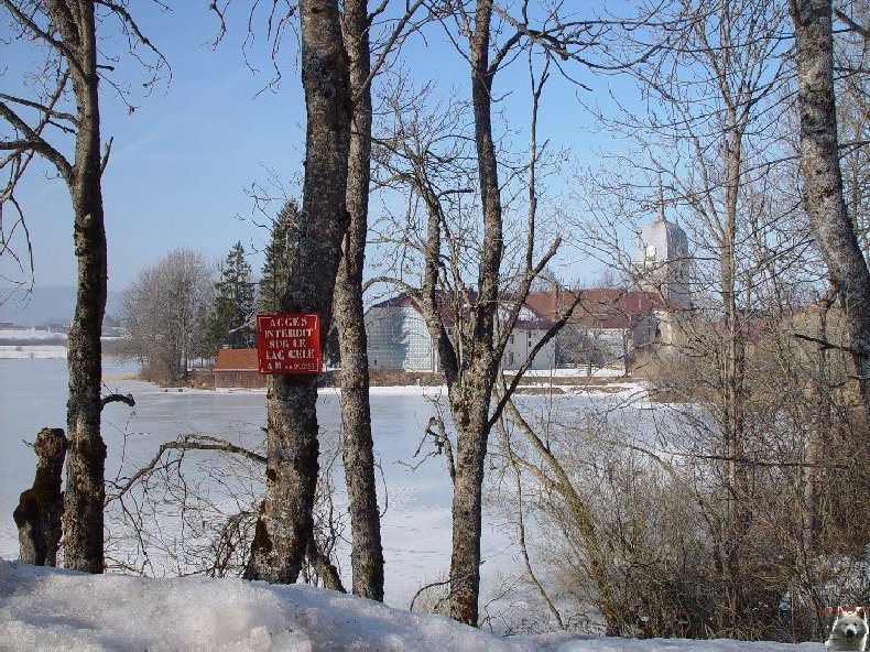 Le Lac de l'Abbaye en Grandvaux (39) 0009