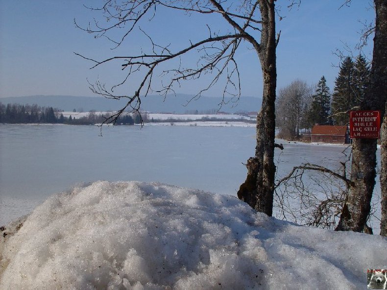 Le Lac de l'Abbaye en Grandvaux (39) 0010