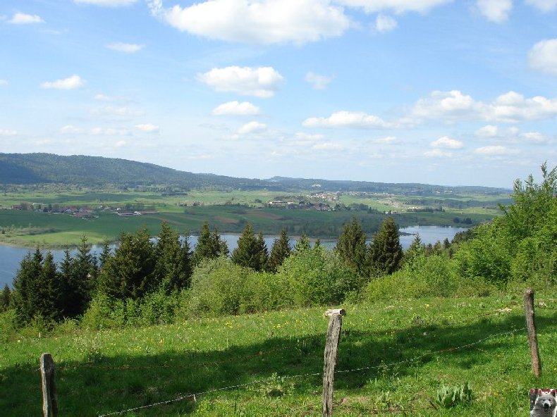 Le Lac de l'Abbaye en Grandvaux (39) 0015