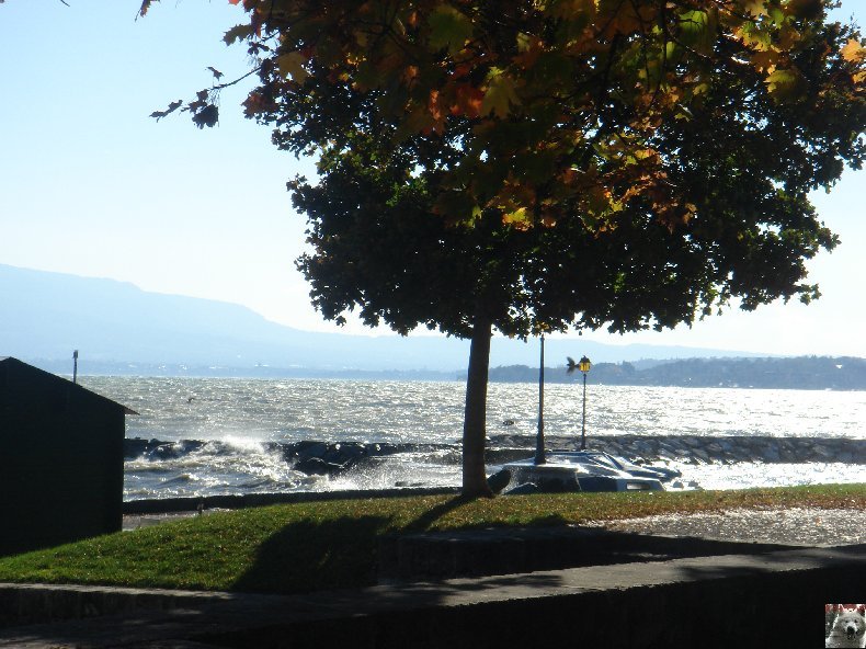On a démonté le Lac Léman - 20-10-2007 0003
