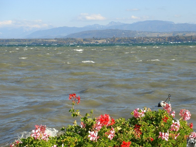 On a démonté le Lac Léman - 20-10-2007 0006