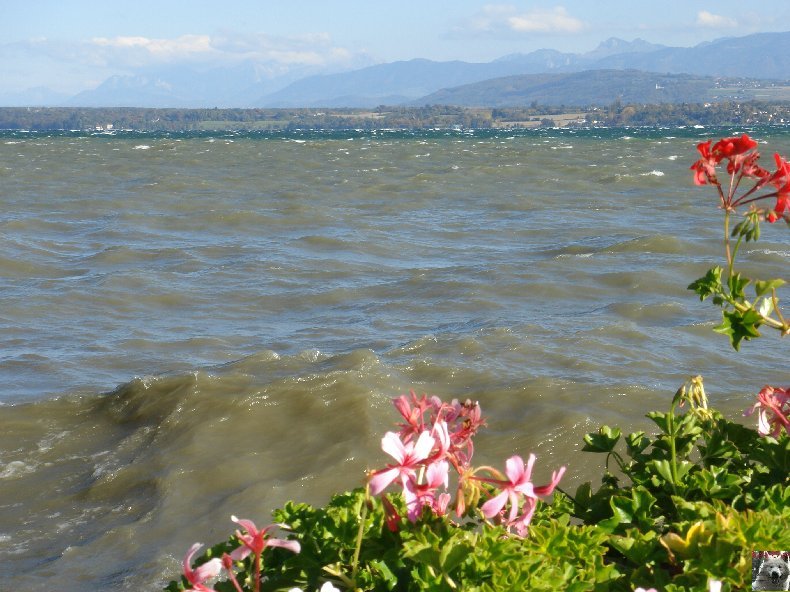 On a démonté le Lac Léman - 20-10-2007 0007