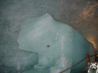 Excursion à La Mer de Glace 0035