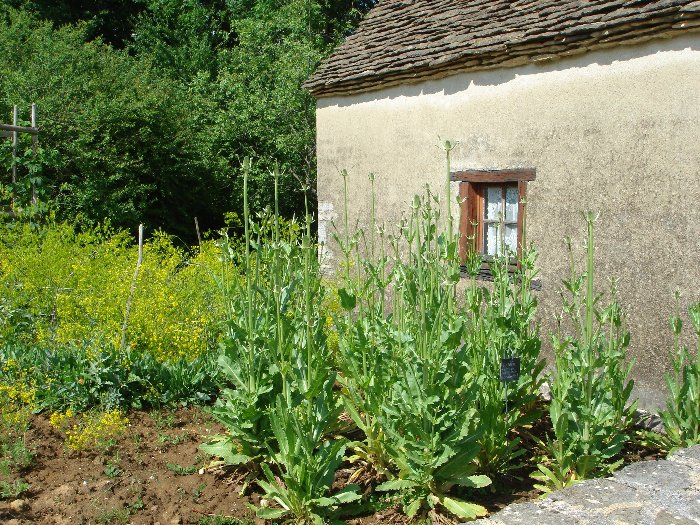 Musée de Plein Air des Maisons Comtoises - Nancray (25) 0089