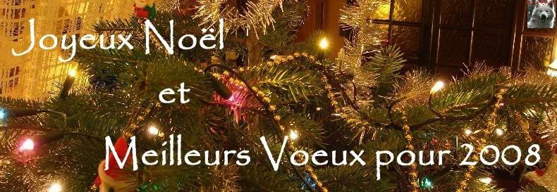 Joyeux Noël Logo