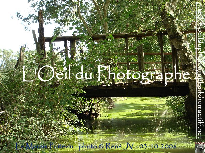 L'oeil du photographe
