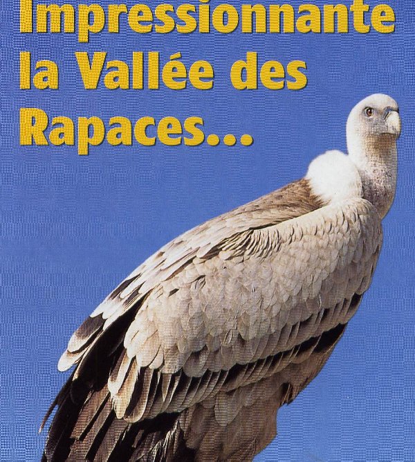 Est pauvre les films sur la chasse et la pêche dans le taïga