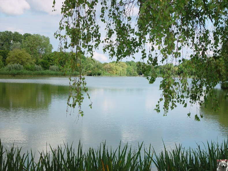 Quelques pensionnaires du Parc ornithologique des Dombes (01) 0056