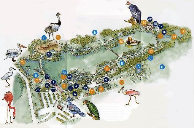 Quelques pensionnaires du Parc ornithologique des Dombes (01) Plan