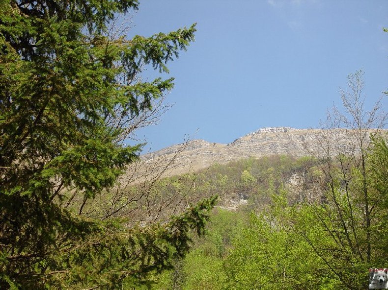 A la découverte de quelques paysages hauts-jurassiens 0010