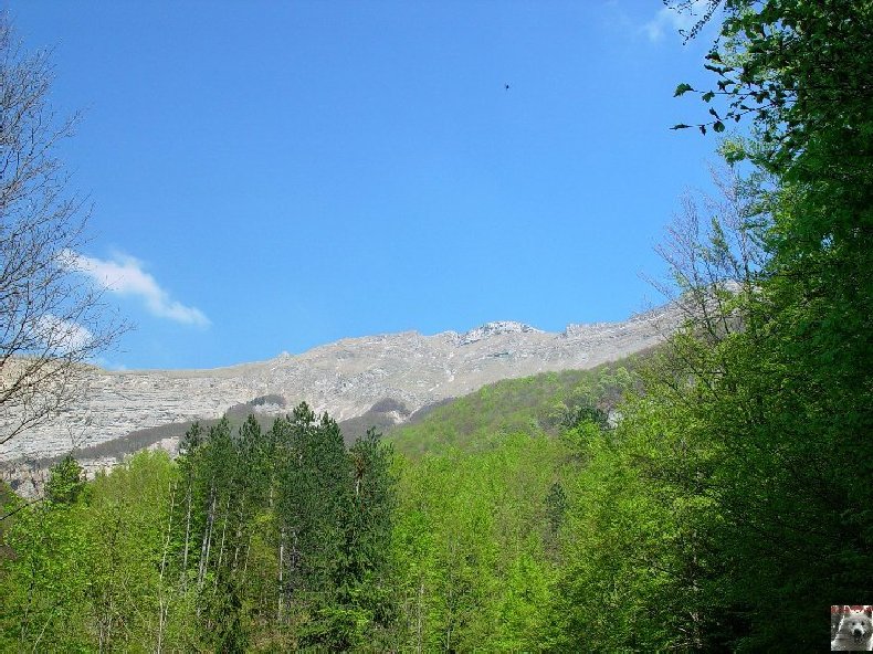 A la découverte de quelques paysages hauts-jurassiens 0011