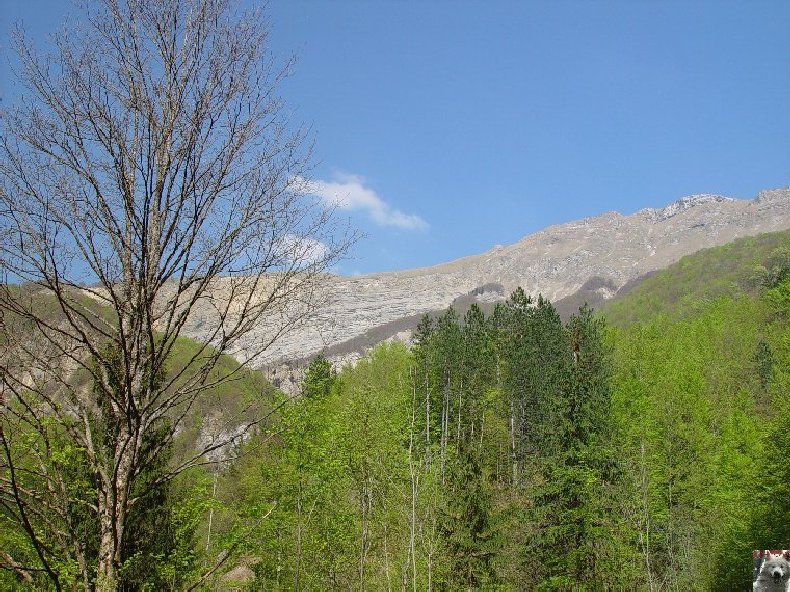 A la découverte de quelques paysages hauts-jurassiens 0012