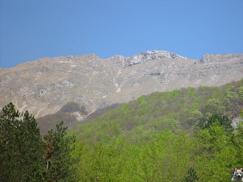 A la découverte de quelques paysages hauts-jurassiens 0013
