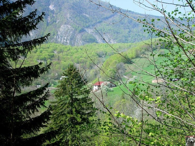 A la découverte de quelques paysages hauts-jurassiens 0014