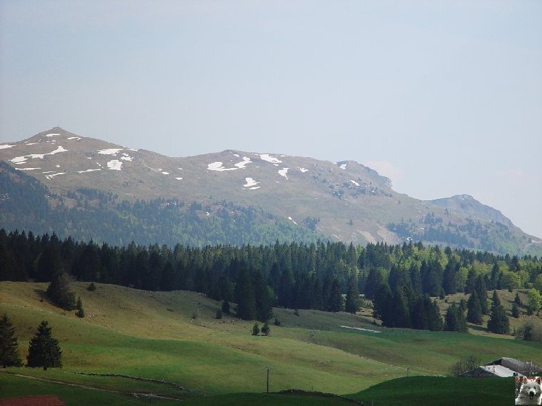 A la découverte de quelques paysages hauts-jurassiens 0019