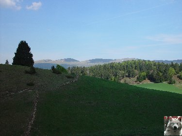A la découverte de quelques paysages hauts-jurassiens 0022
