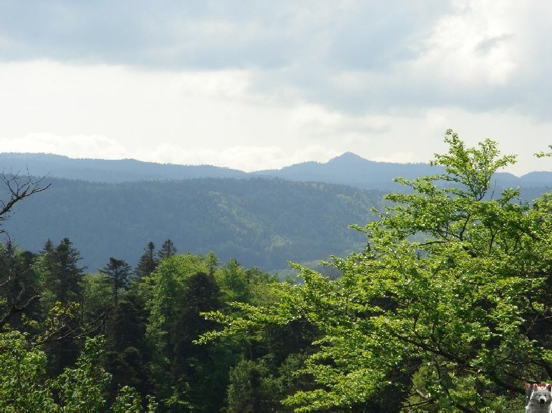 A la découverte de quelques paysages hauts-jurassiens 0023