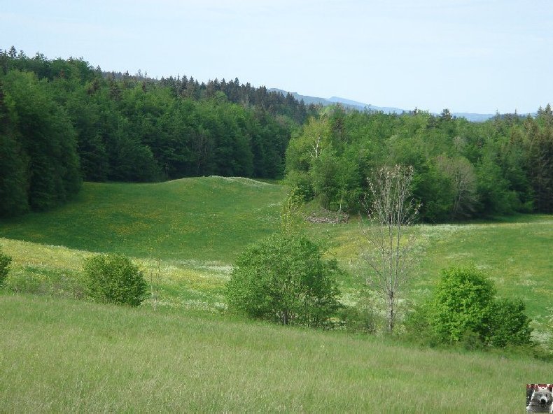 A la découverte de quelques paysages hauts-jurassiens 0035