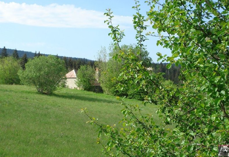 A la découverte de quelques paysages hauts-jurassiens 0036
