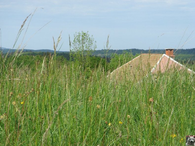 A la découverte de quelques paysages hauts-jurassiens 0038