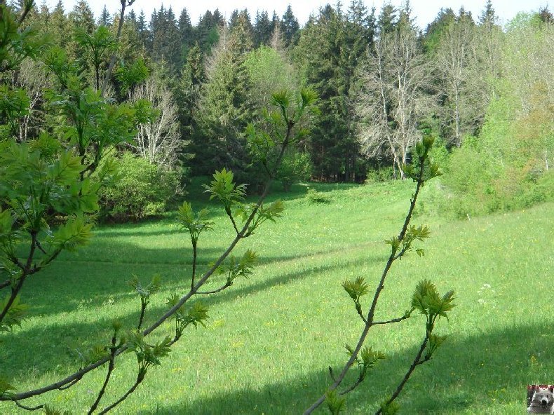 A la découverte de quelques paysages hauts-jurassiens 0040