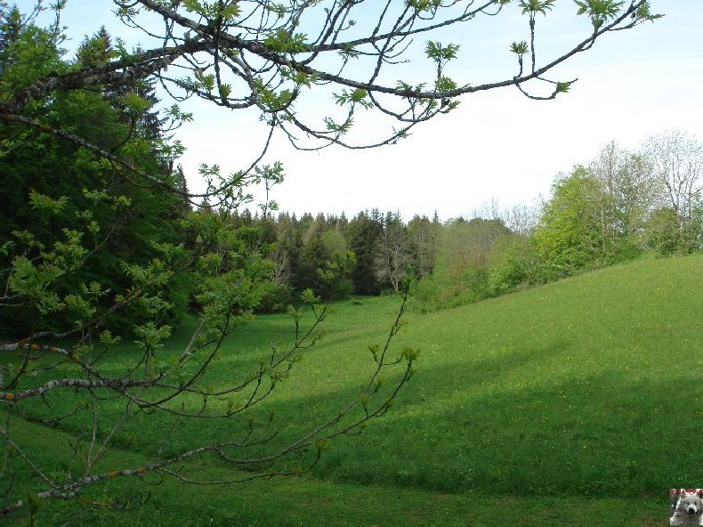 A la découverte de quelques paysages hauts-jurassiens 0041