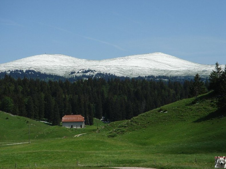 A la découverte de quelques paysages hauts-jurassiens 0044