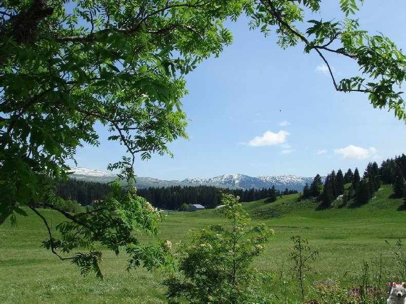 A la découverte de quelques paysages hauts-jurassiens 0046