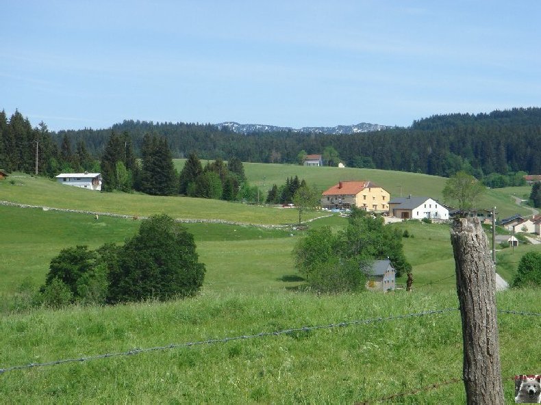 A la découverte de quelques paysages hauts-jurassiens 0051