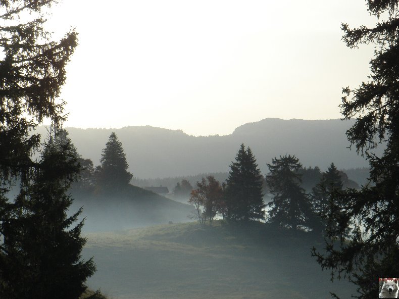 A la découverte de quelques paysages hauts-jurassiens 0054