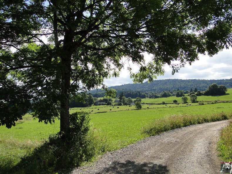 A la découverte de quelques paysages hauts-jurassiens 0057