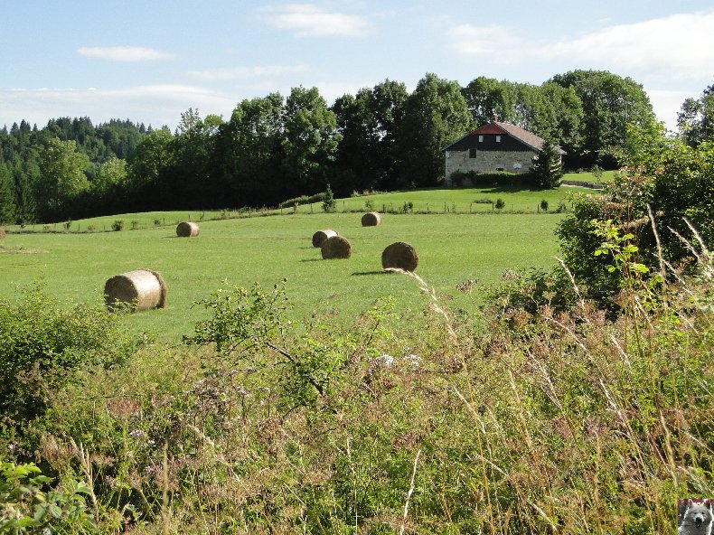 A la découverte de quelques paysages hauts-jurassiens 0059
