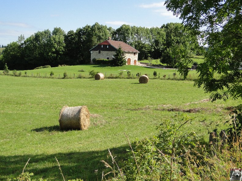 A la découverte de quelques paysages hauts-jurassiens 0060