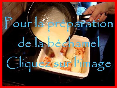 Quenelle de brochet aux queues d'écrevisses - 19/02/2007 V01