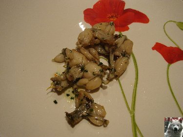 La Fête à la Grenouille 0012
